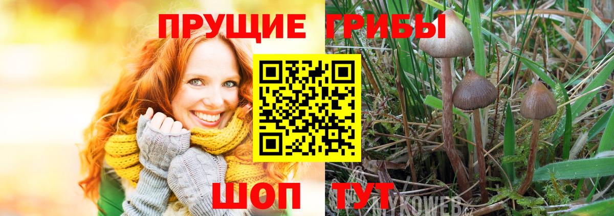 Галлюциногенные грибы мицелий Рассказово