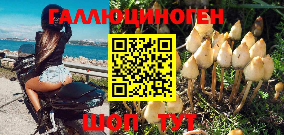 Галлюциногенные грибы GOLDEN TEACHER  магазин    Рассказово  Вход с VPN 